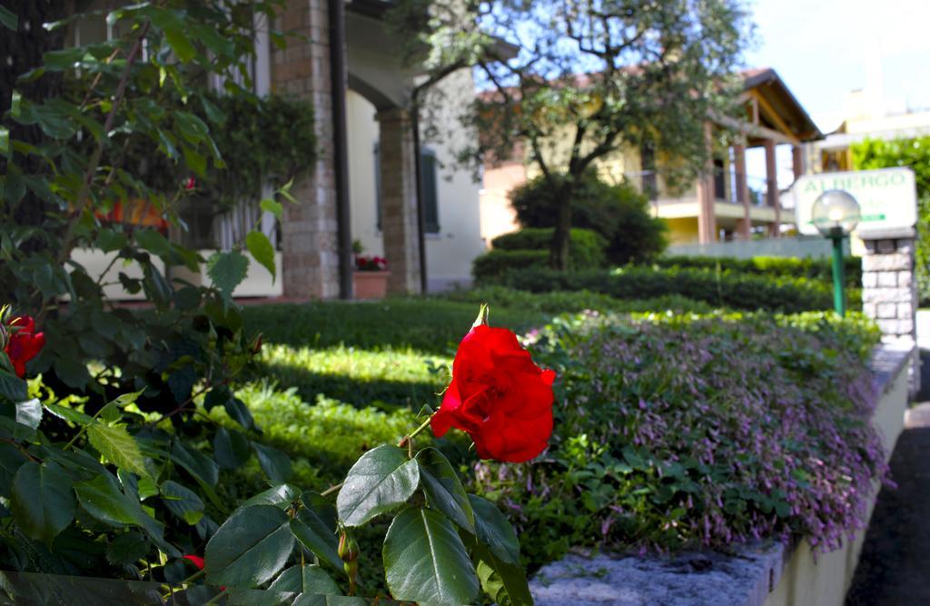 Albergo La Quiete Desenzano del Garda Buitenkant foto